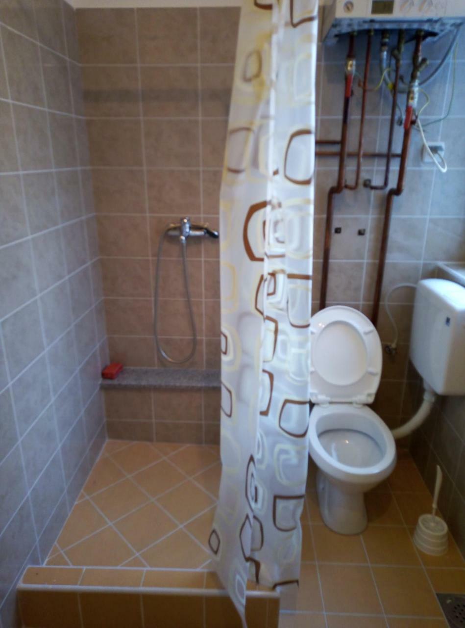 Apartman Miljkovic アランジェロヴァツ エクステリア 写真
