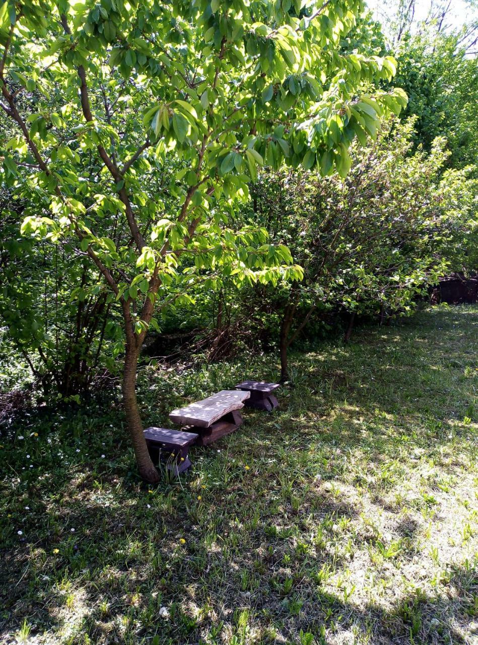 Apartman Miljkovic アランジェロヴァツ エクステリア 写真